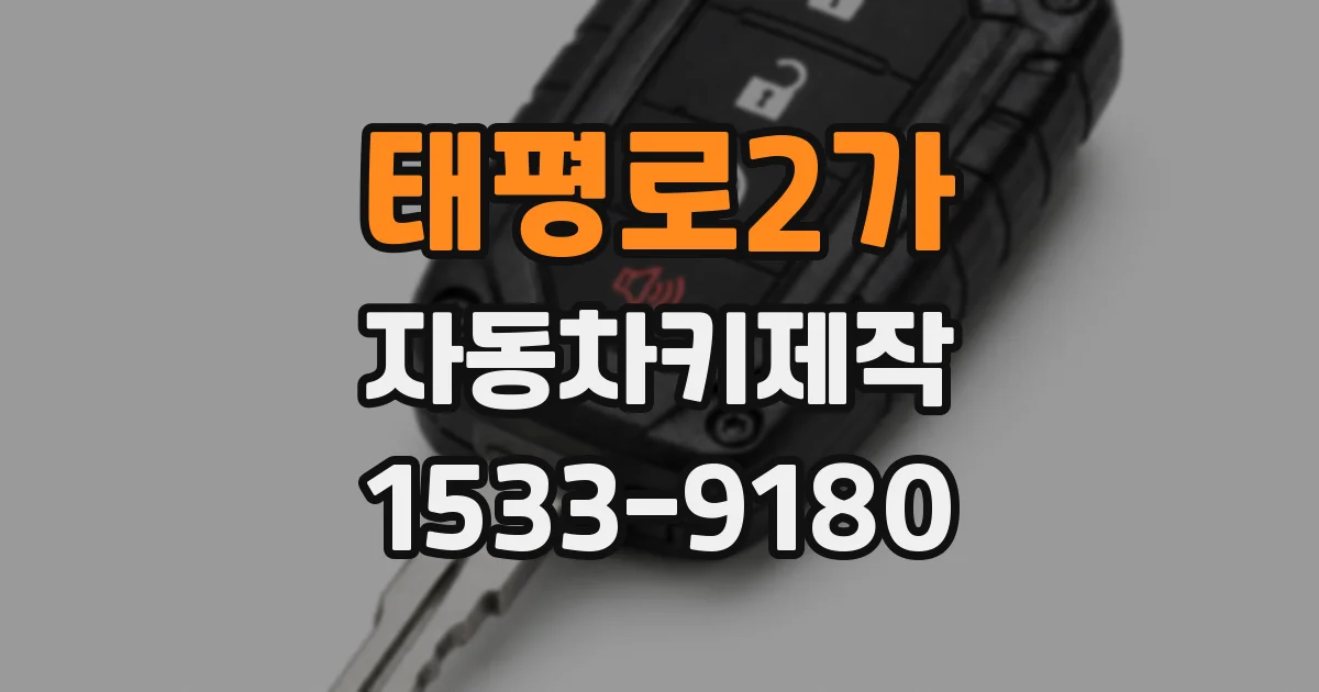 태평로2가 자동차키제작