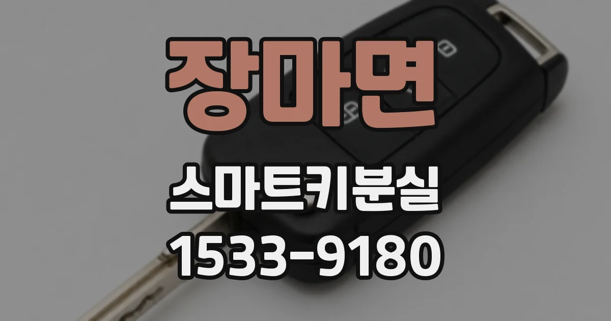 장마면 스마트키분실
