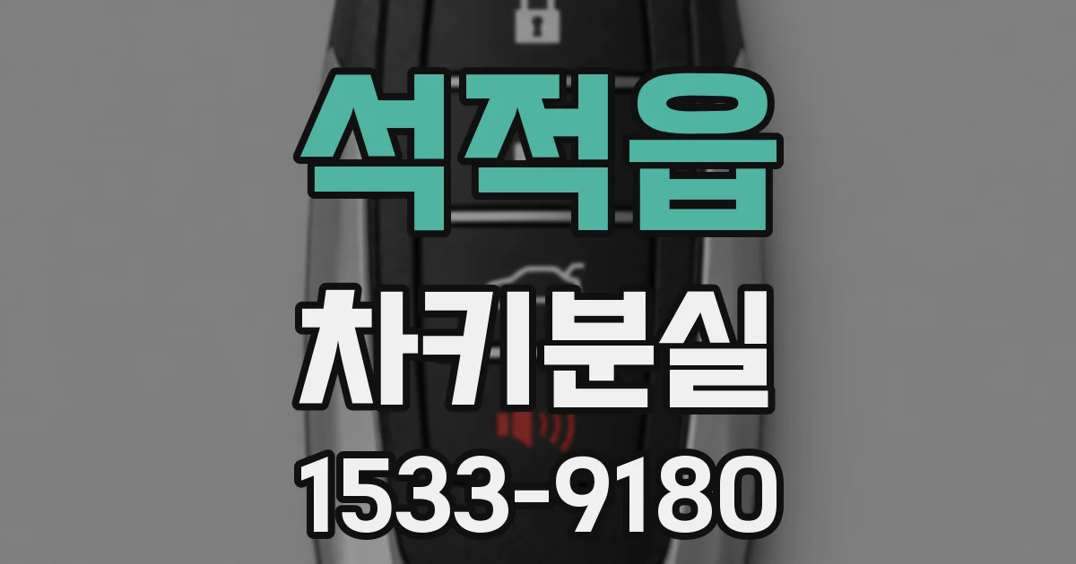 석적읍 차키분실