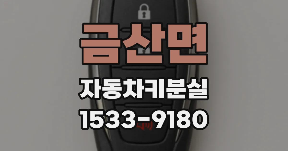 금산면 자동차키분실