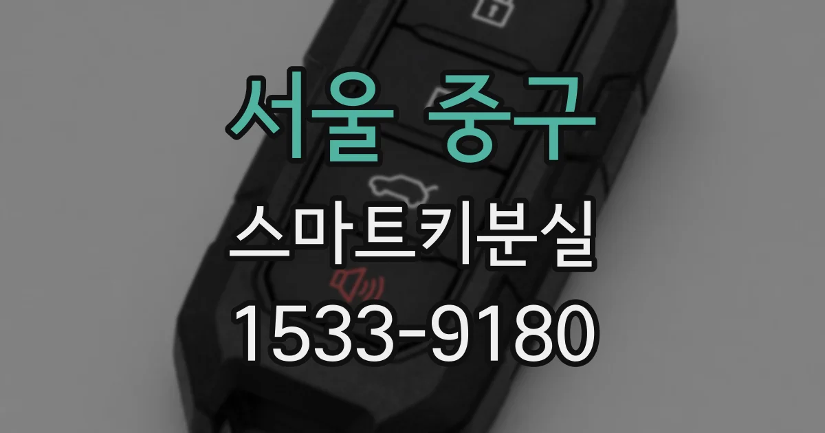 서울 중구 스마트키분실