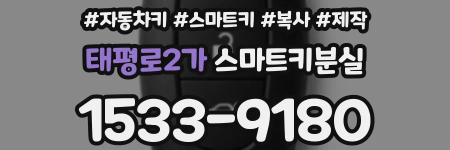 태평로2가 스마트키분실