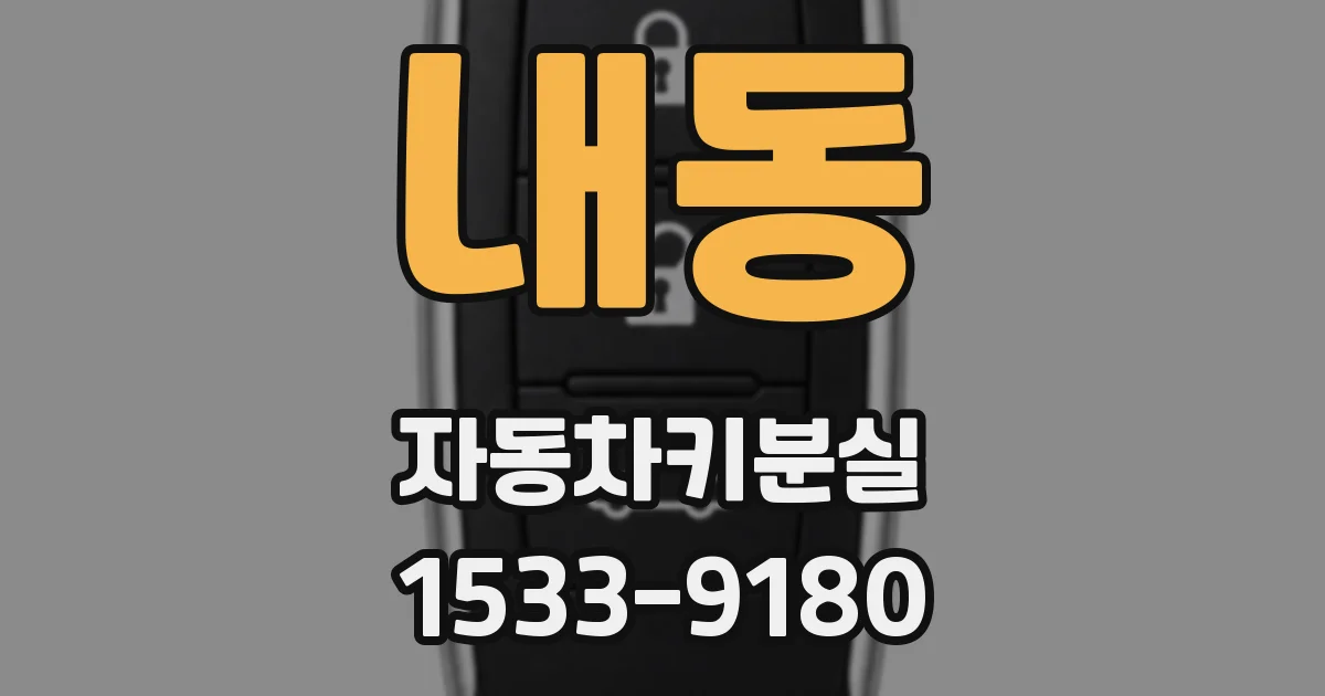 내동 자동차키분실