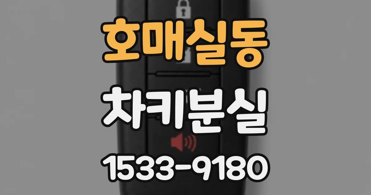 호매실동 차키분실