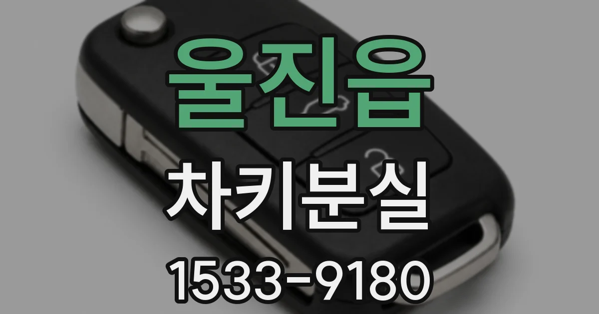 울진읍 차키분실