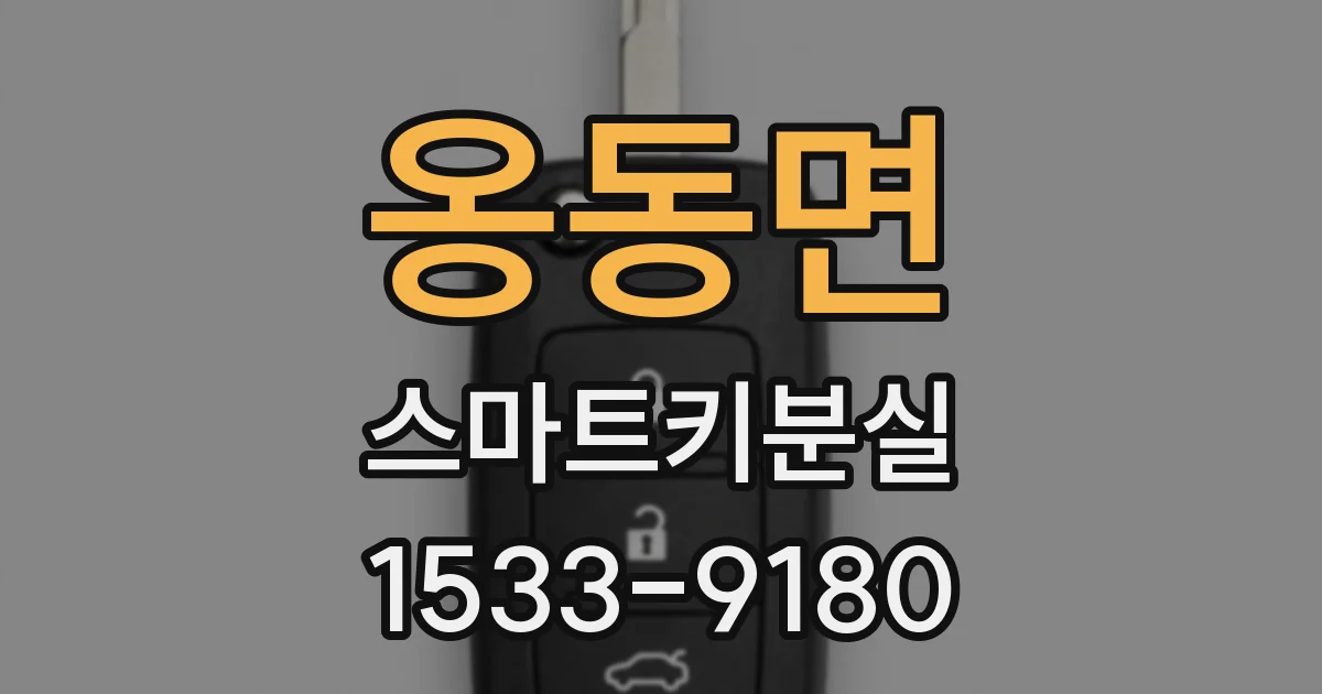 옹동면 스마트키분실