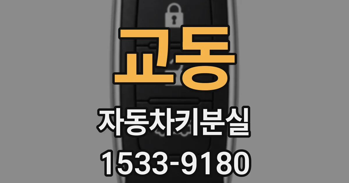 교동 자동차키분실