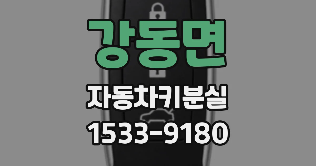 강동면 자동차키분실