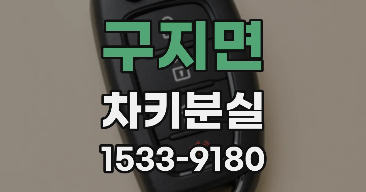 구지면 차키분실