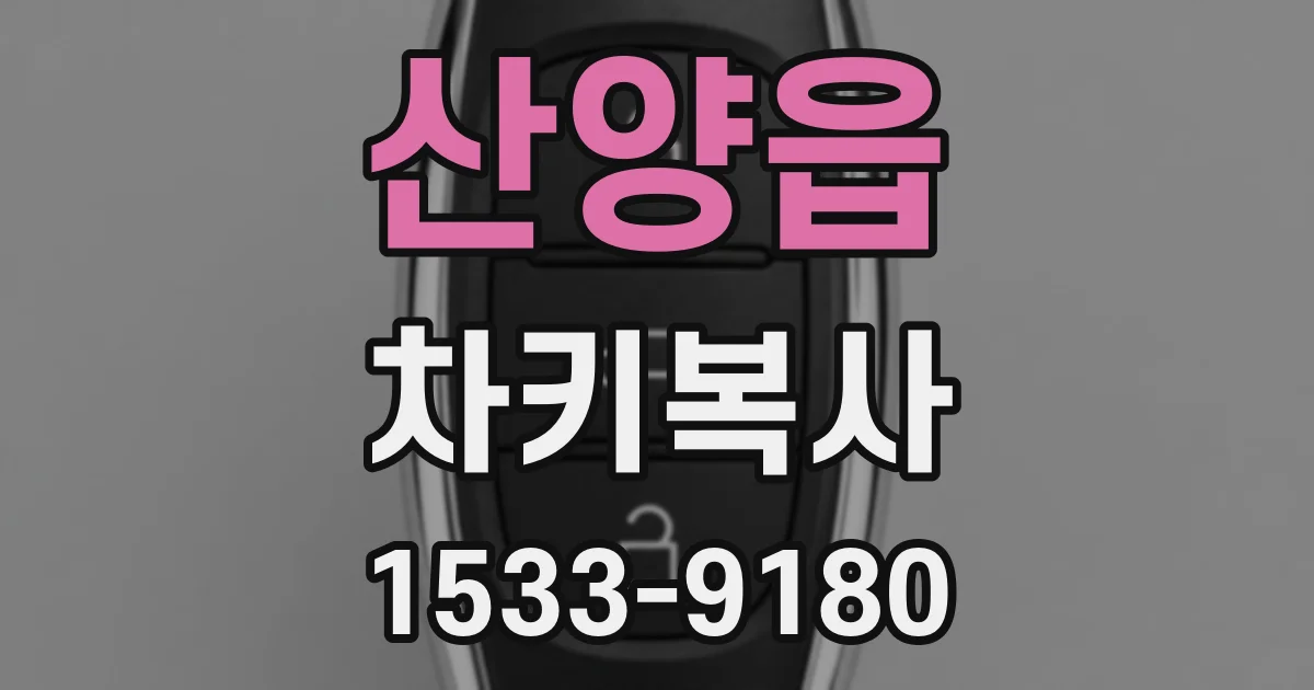 산양읍 차키복사