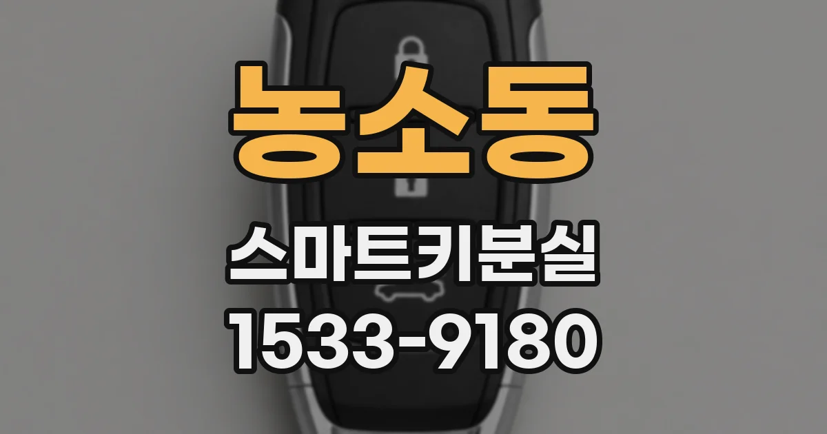 농소동 스마트키분실