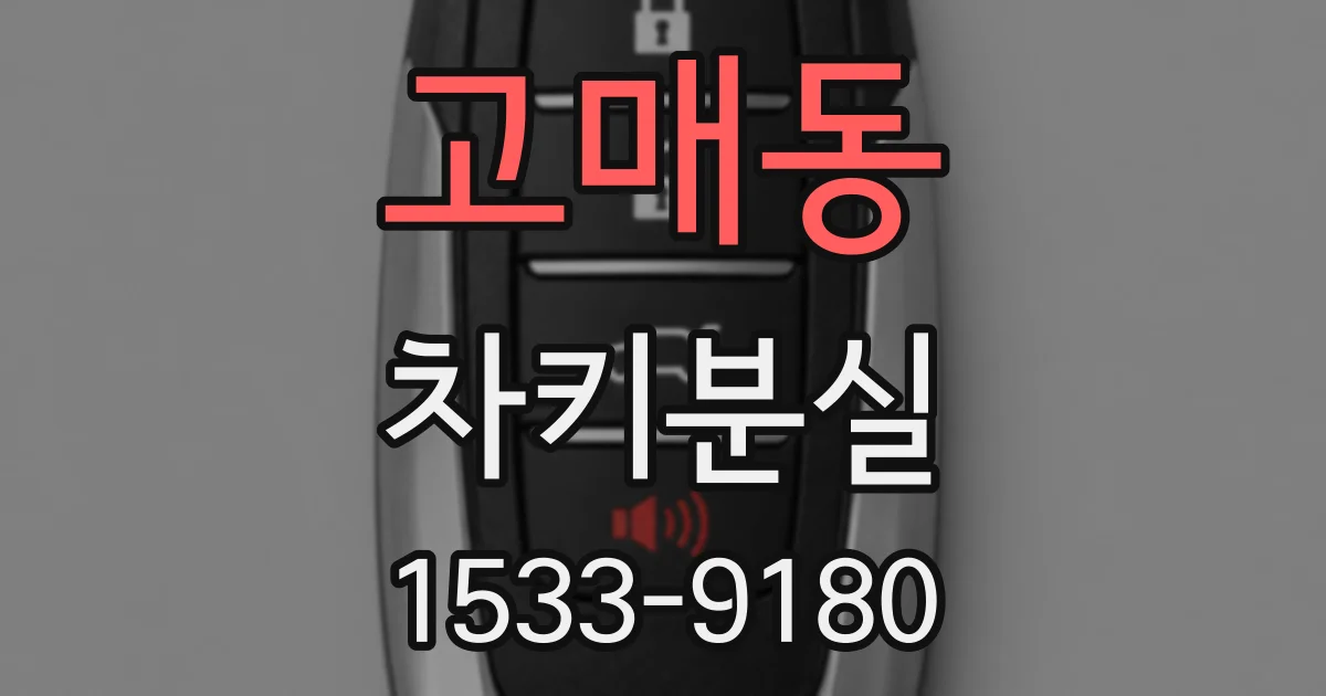 고매동 차키분실