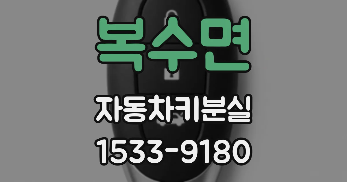 복수면 자동차키분실