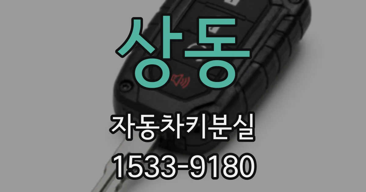 상동 자동차키분실