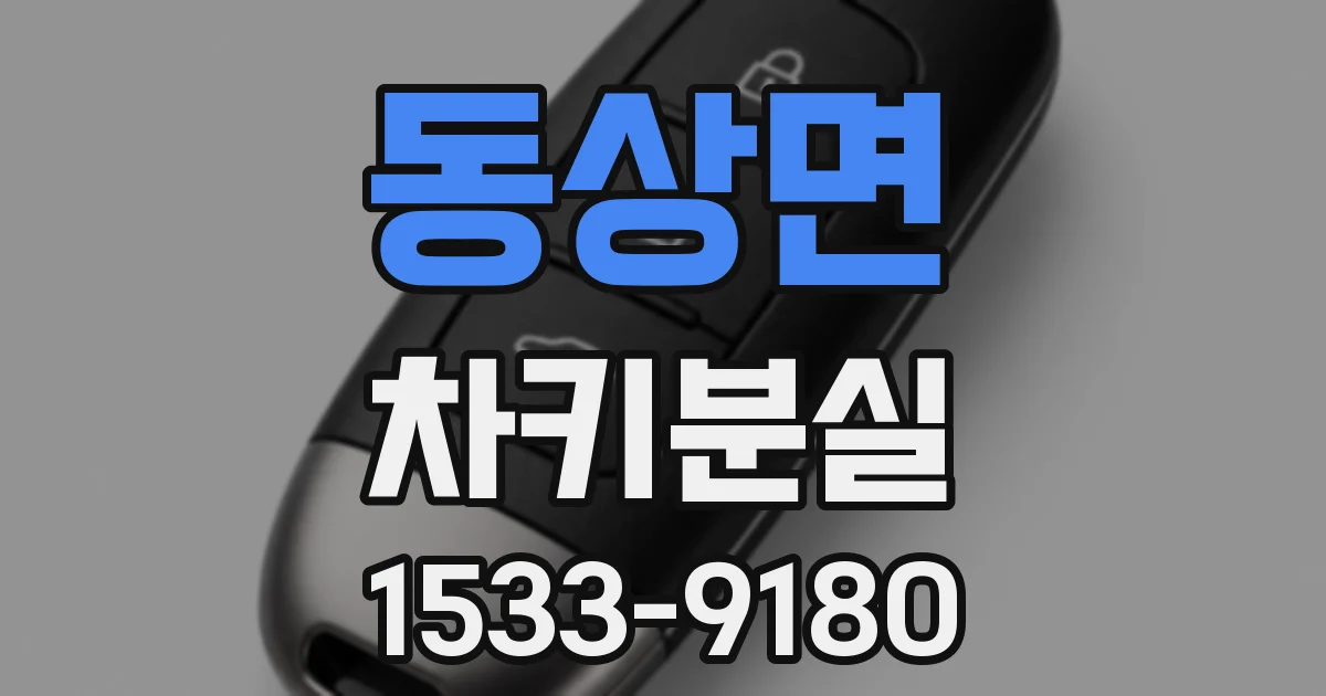동상면 차키분실