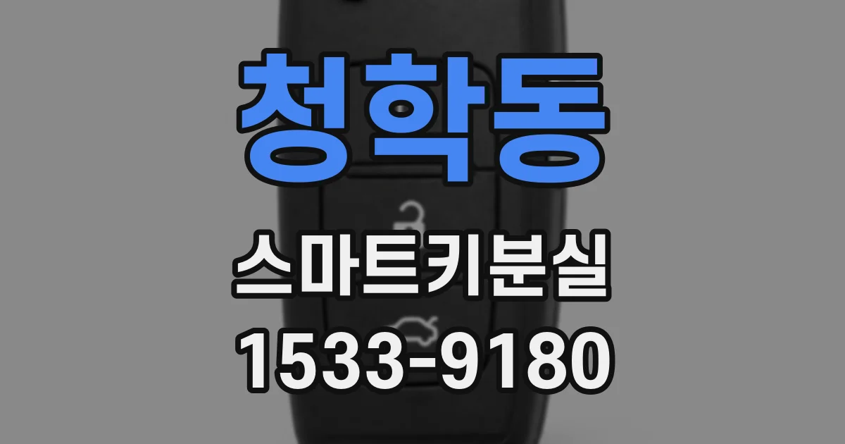 청학동 스마트키분실