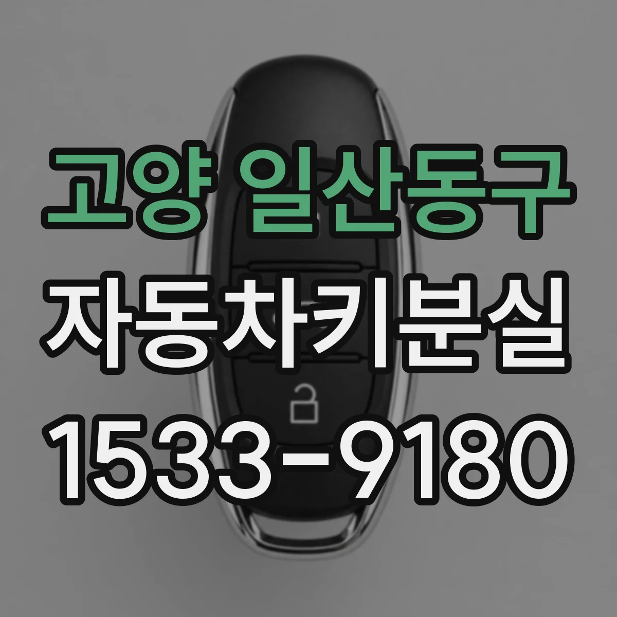 고양 일산동구 자동차키분실