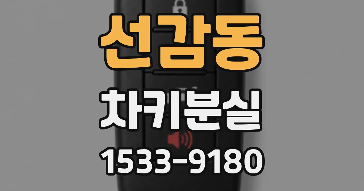 선감동 차키분실