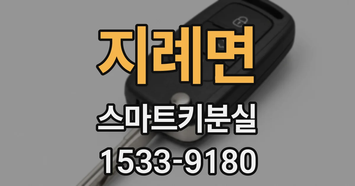 지례면 스마트키분실