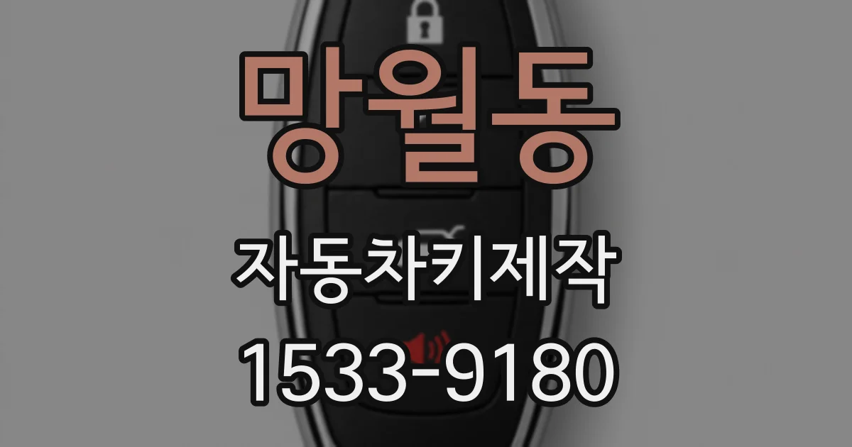 망월동 자동차키제작