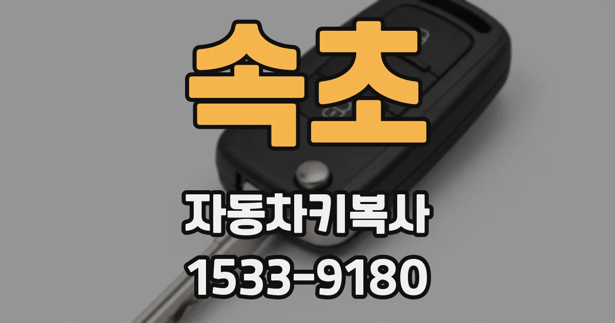 속초 자동차키복사
