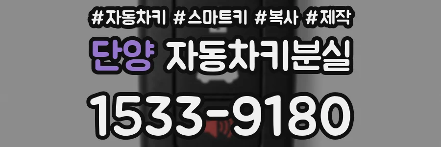 단양 자동차키분실