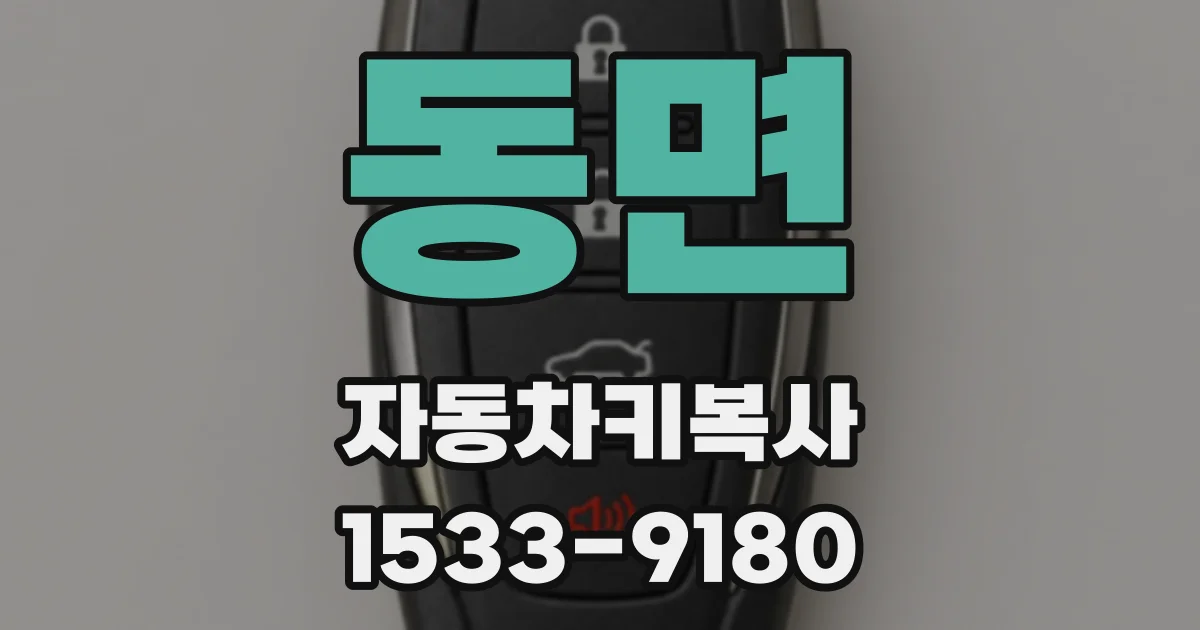 동면 자동차키복사