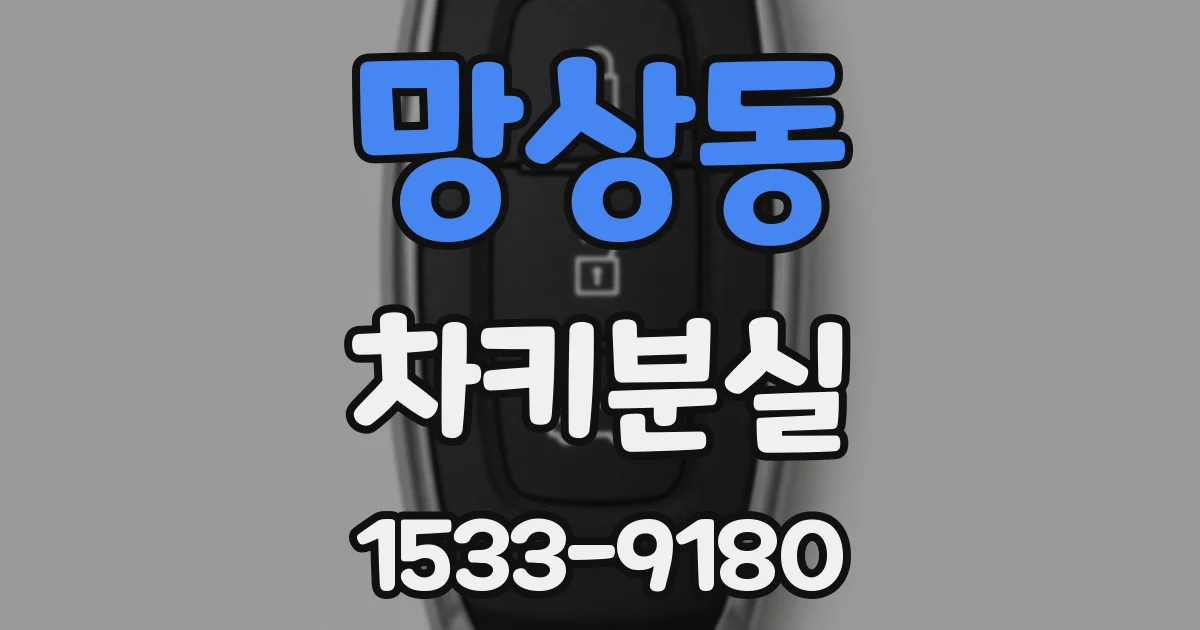 망상동 차키분실