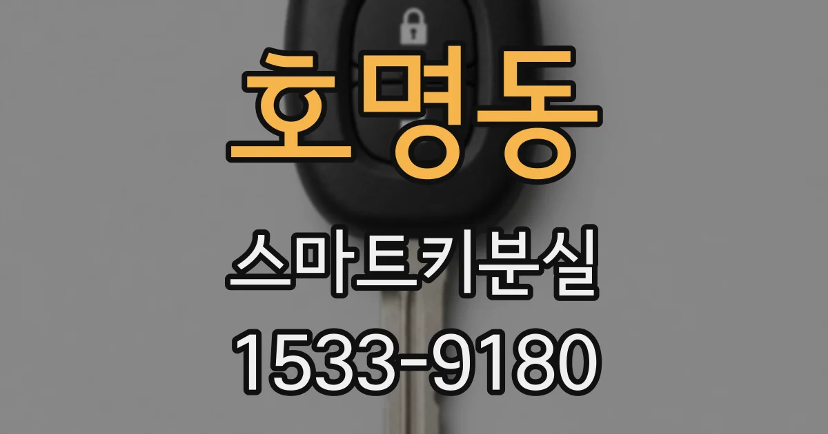 호명동 스마트키분실