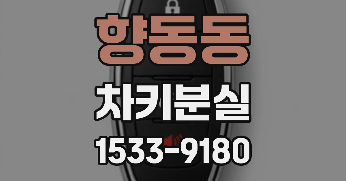 향동동 차키분실
