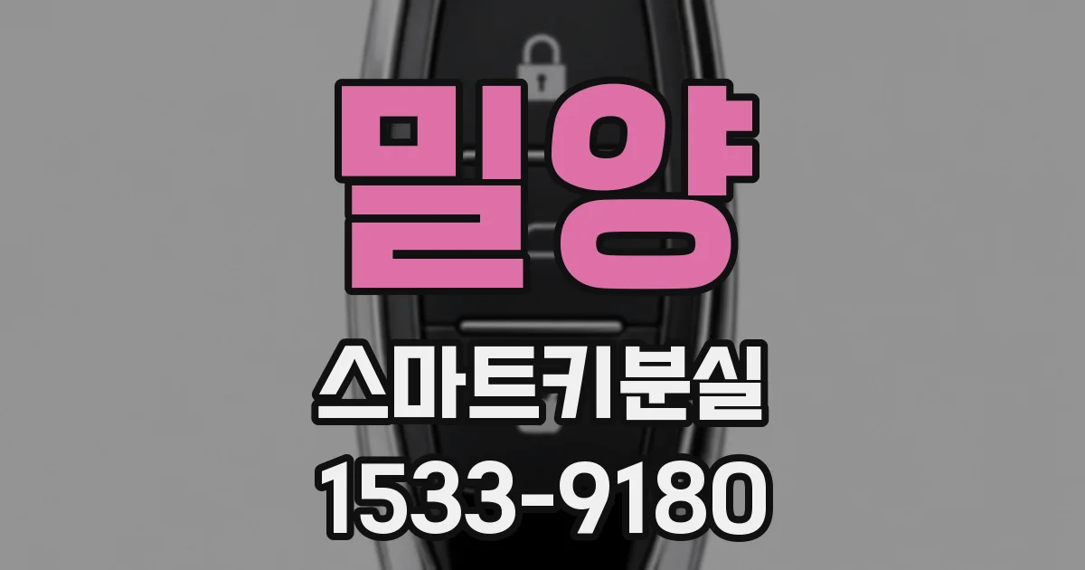 밀양 스마트키분실