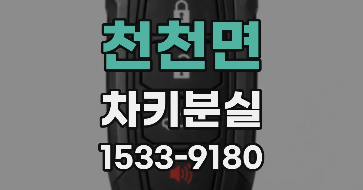 천천면 차키분실