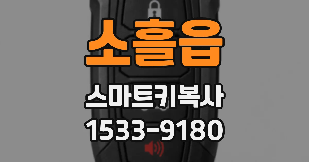소흘읍 스마트키복사