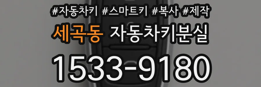 세곡동 자동차키분실