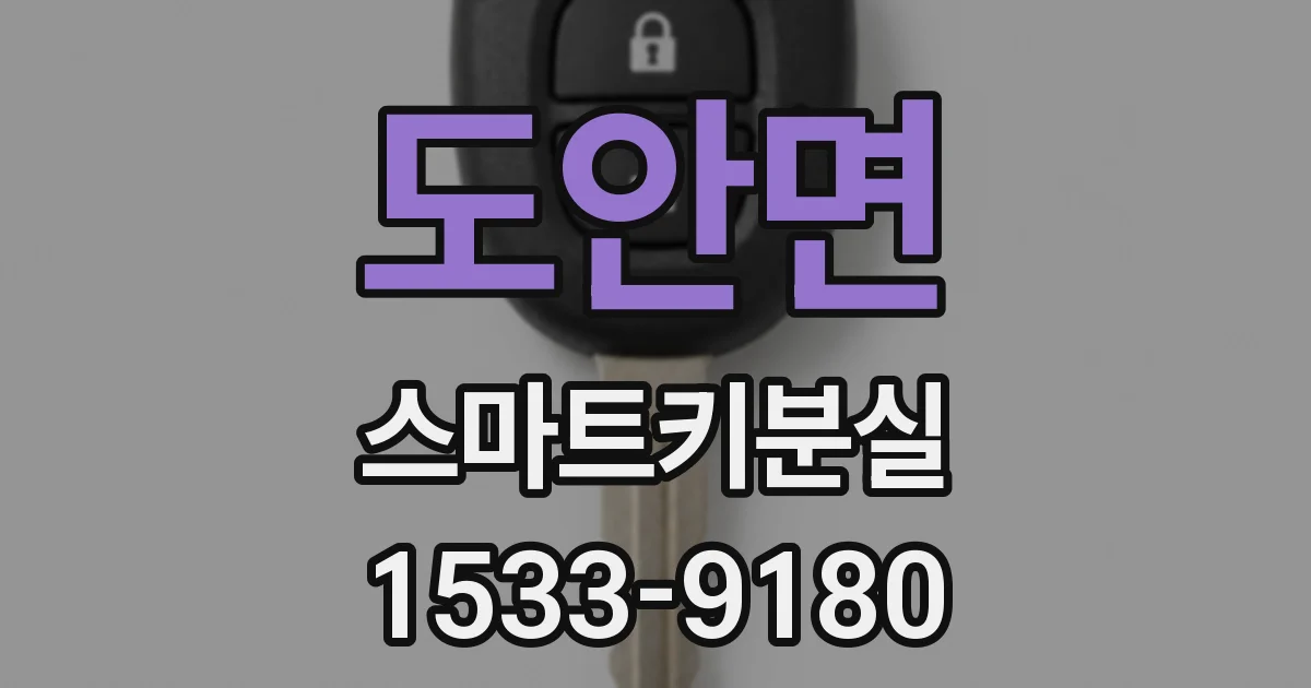 도안면 스마트키분실