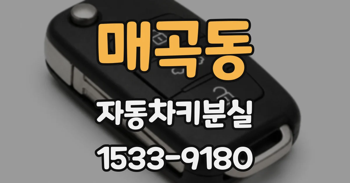 매곡동 자동차키분실