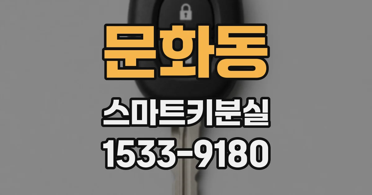 문화동 스마트키분실