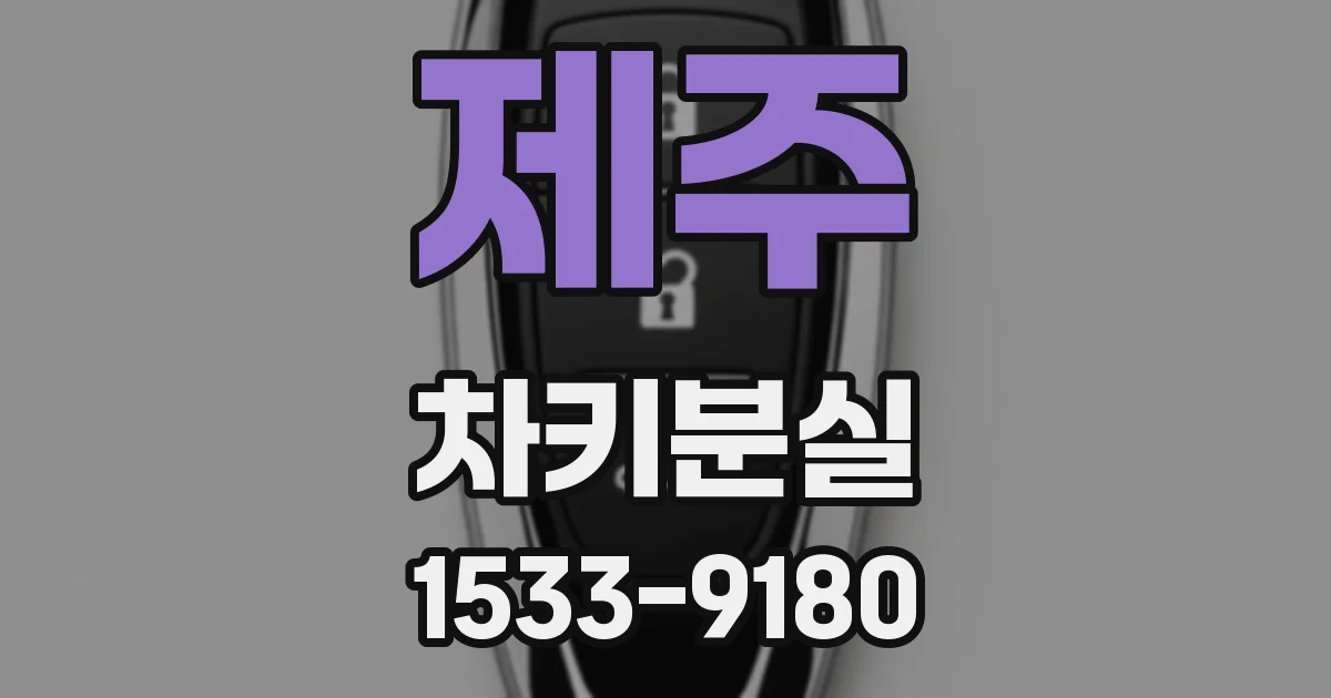 제주 차키분실