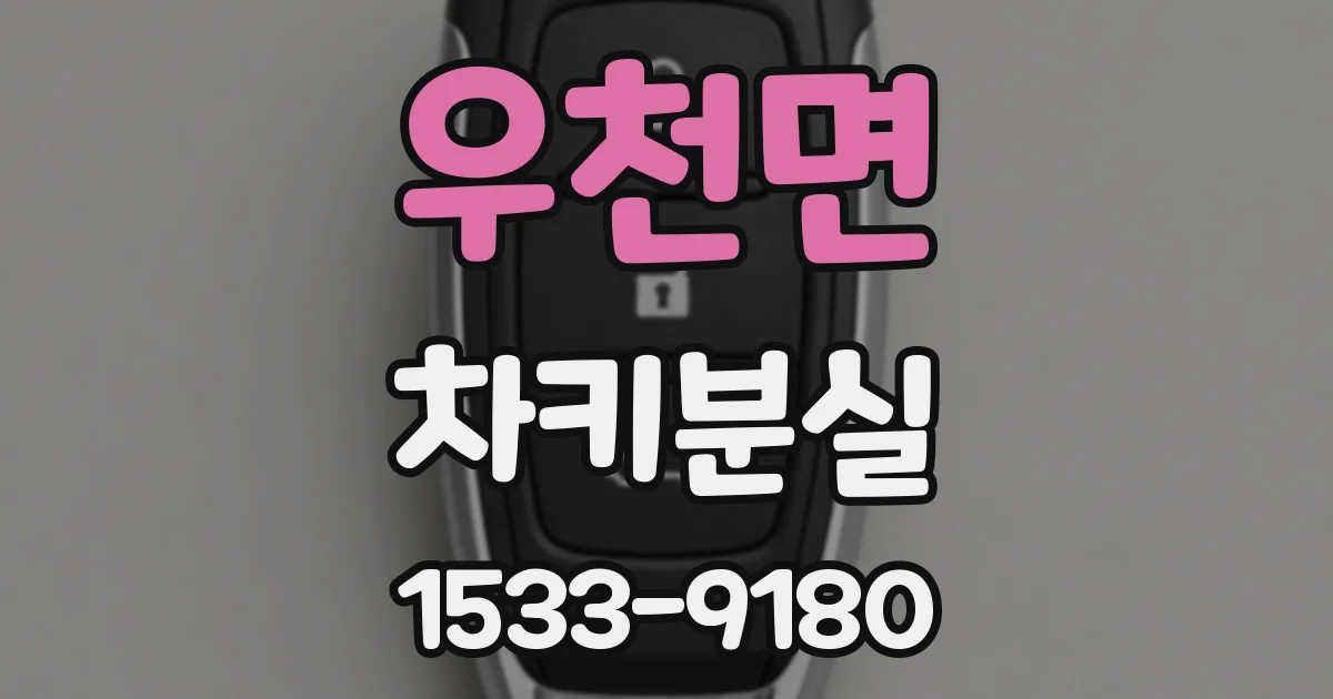 우천면 차키분실