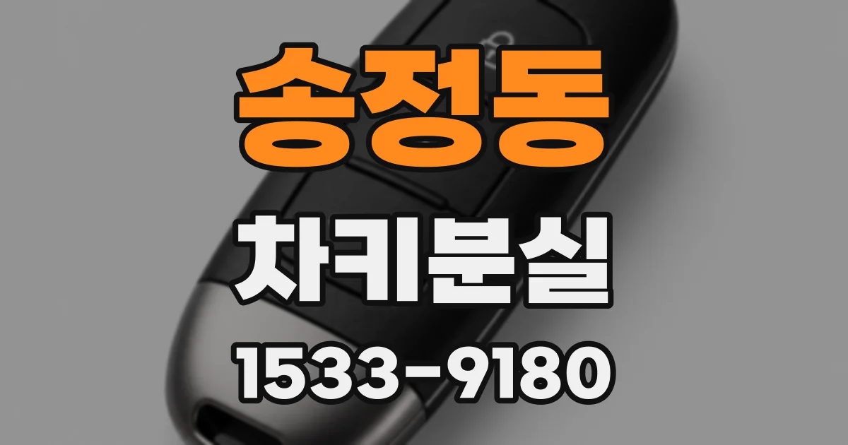 송정동 차키분실