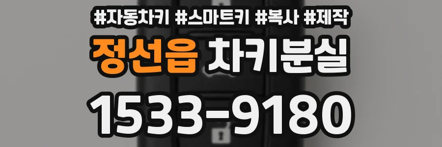 정선읍 차키분실