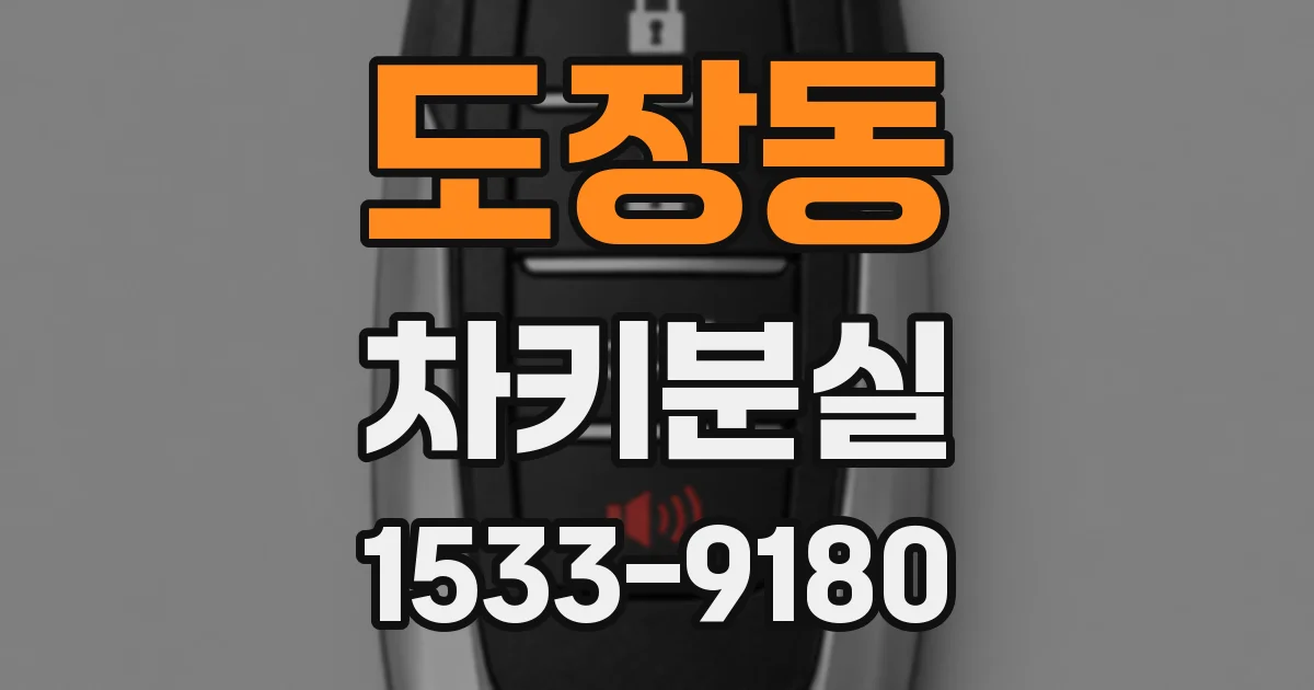 도장동 차키분실