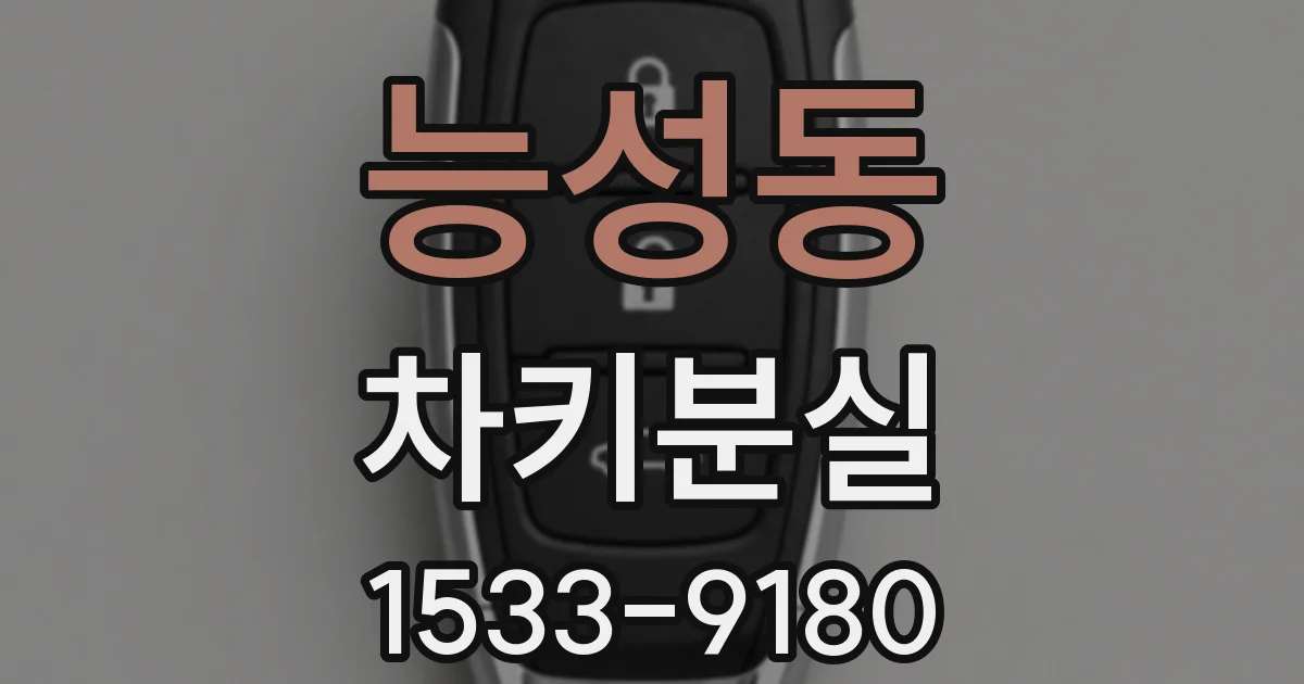 능성동 차키분실