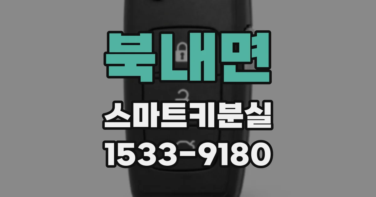북내면 스마트키분실