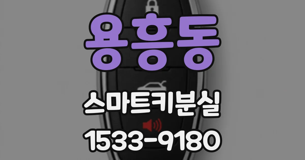 용흥동 스마트키분실