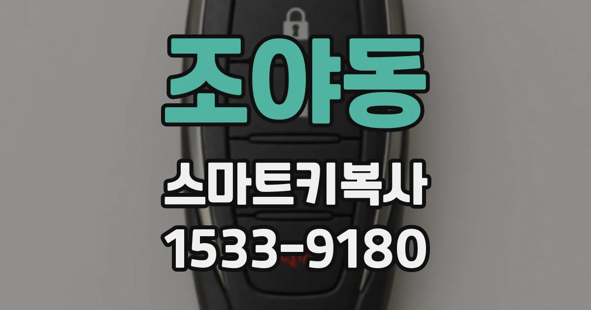 조야동 스마트키복사