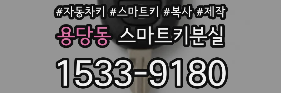 용당동 스마트키분실
