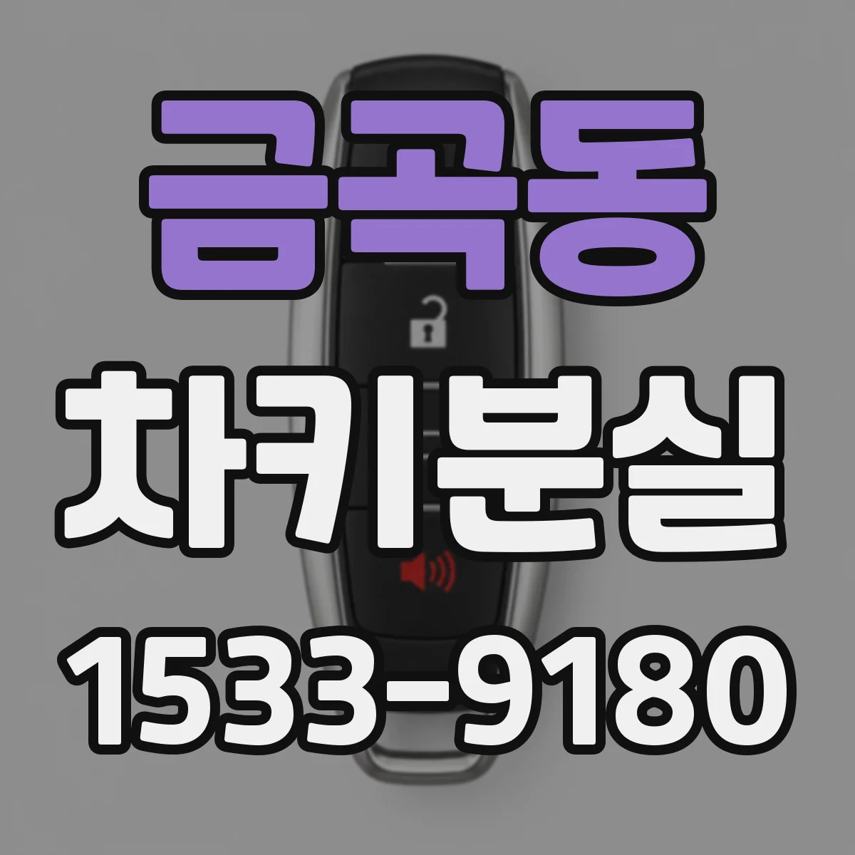 금곡동 차키분실