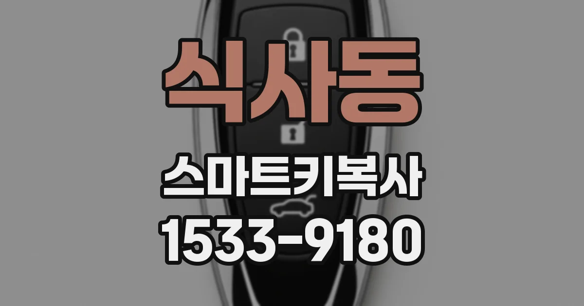 식사동 스마트키복사