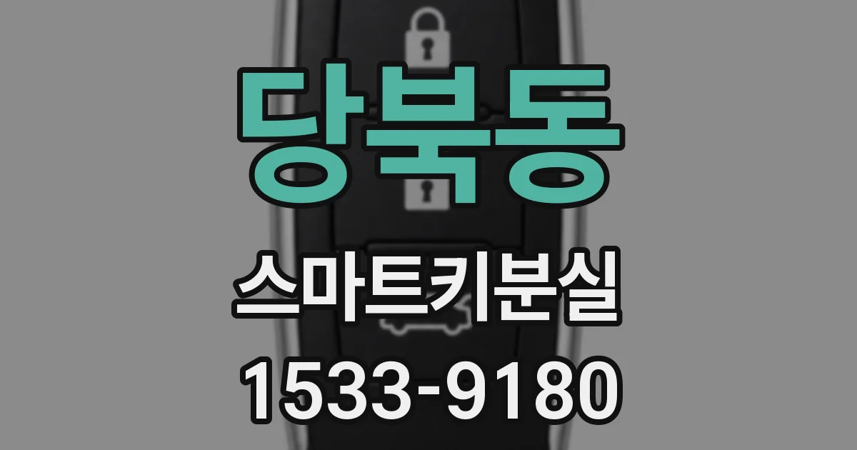 당북동 스마트키분실